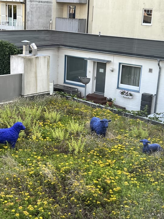 Sonstiges Strandhotel Duhnen / Aparthotel Kamp