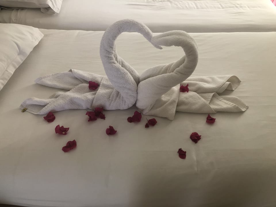 Zimmer TUI MAGIC LIFE Penelope Beach