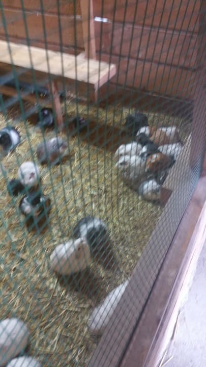 Außenansicht Center Parcs Park Bostalsee