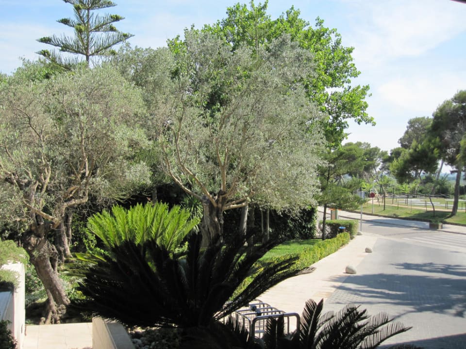 Außenanlage Playa Garden Selection Hotel & Spa
