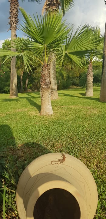 Gartenanlage Süral Saray Hotel