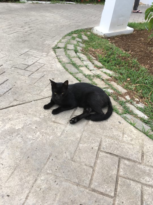 Sonstiges Paradisus Princesa del Mar Resort & Spa - Adults only