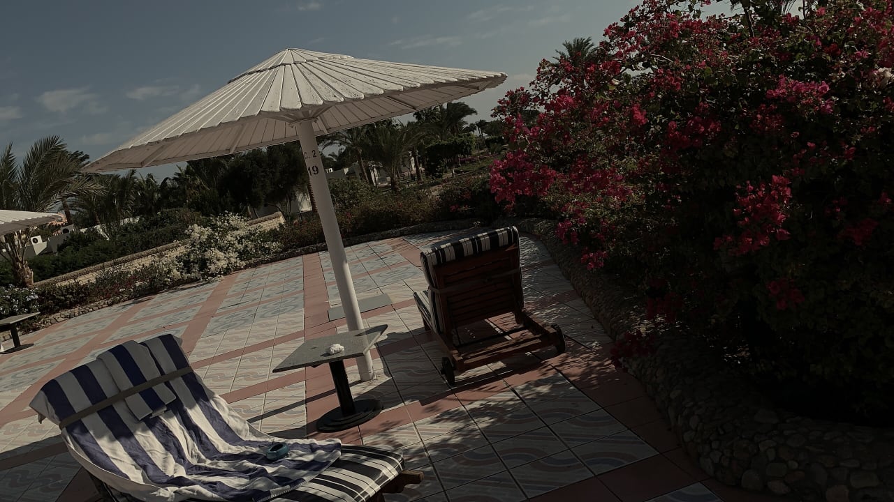 Garten Pharaoh Azur Resort