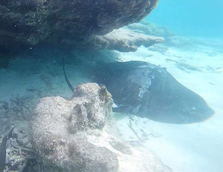 Strand Summer Island Maldives