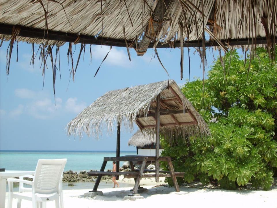 Hinter der Bar Summer Island Maldives