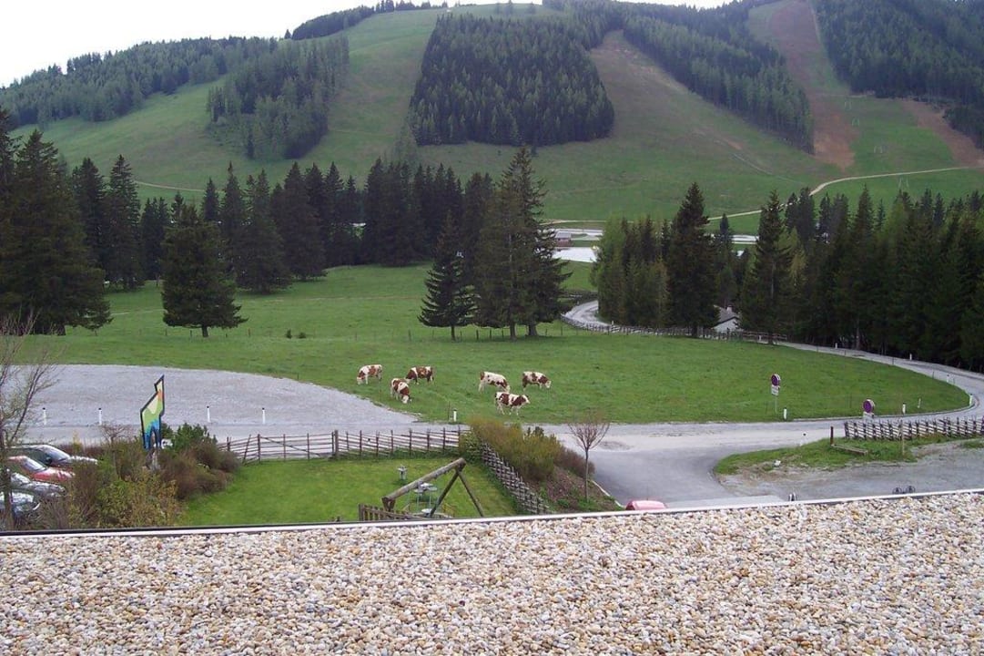 Blick zum Teichalmsee Almwellness Hotel Pierer