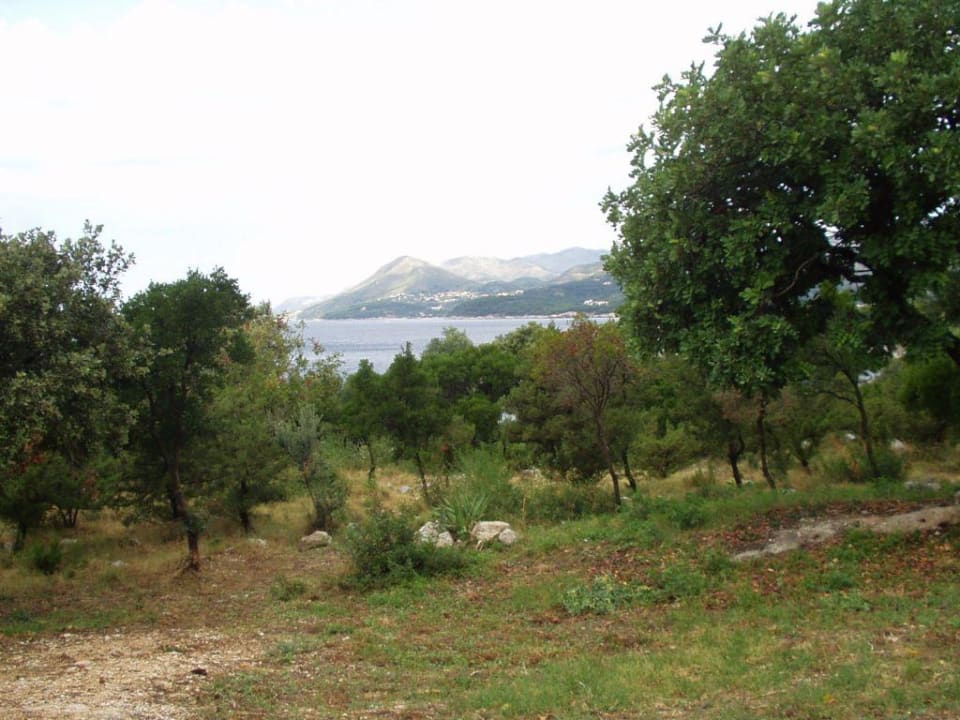 Beim Spatziergang rund um das Hotel Sunny Dubrovnik by Valamar