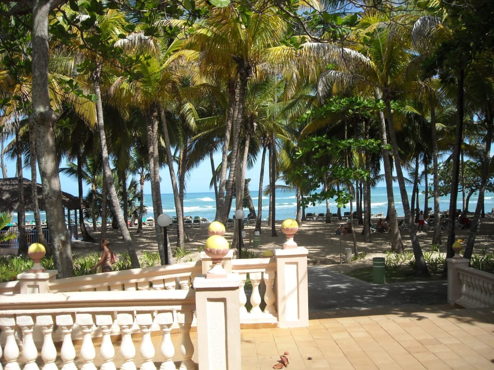 Tolle Wellen Senator Puerto Plata Hotel