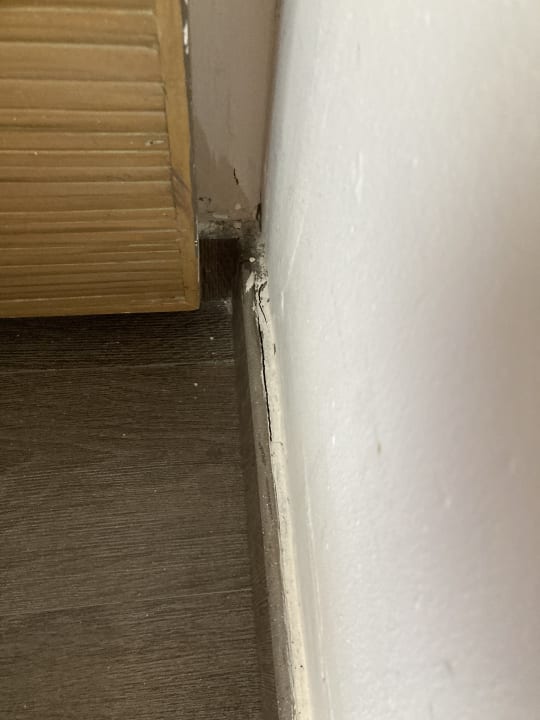 Zimmer Catalonia Royal Bavaro - Adults only