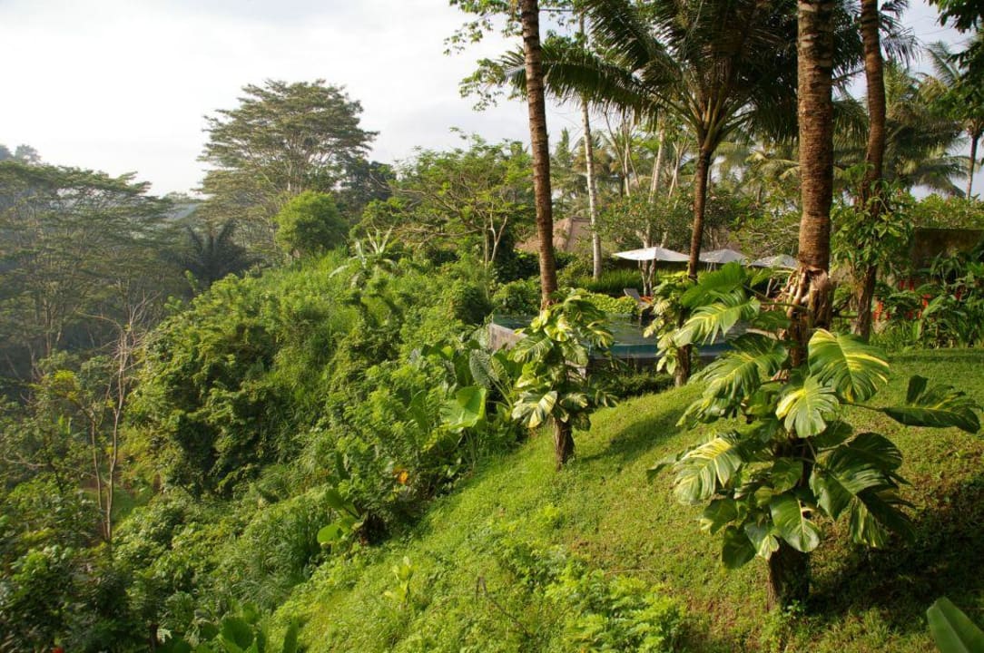 Grüner Blick Maya Ubud Resort & Spa Bali