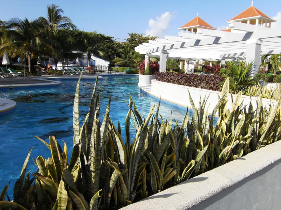 Pool Hotel Riu Palace Mexico