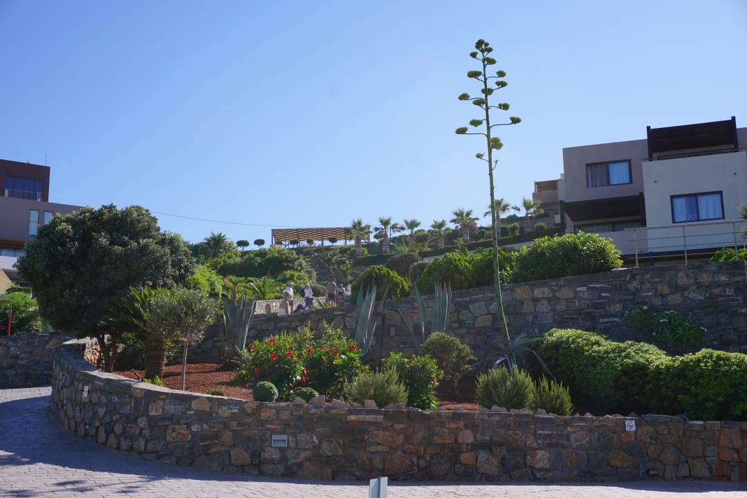 Garten Atlantica Mikri Poli Crete