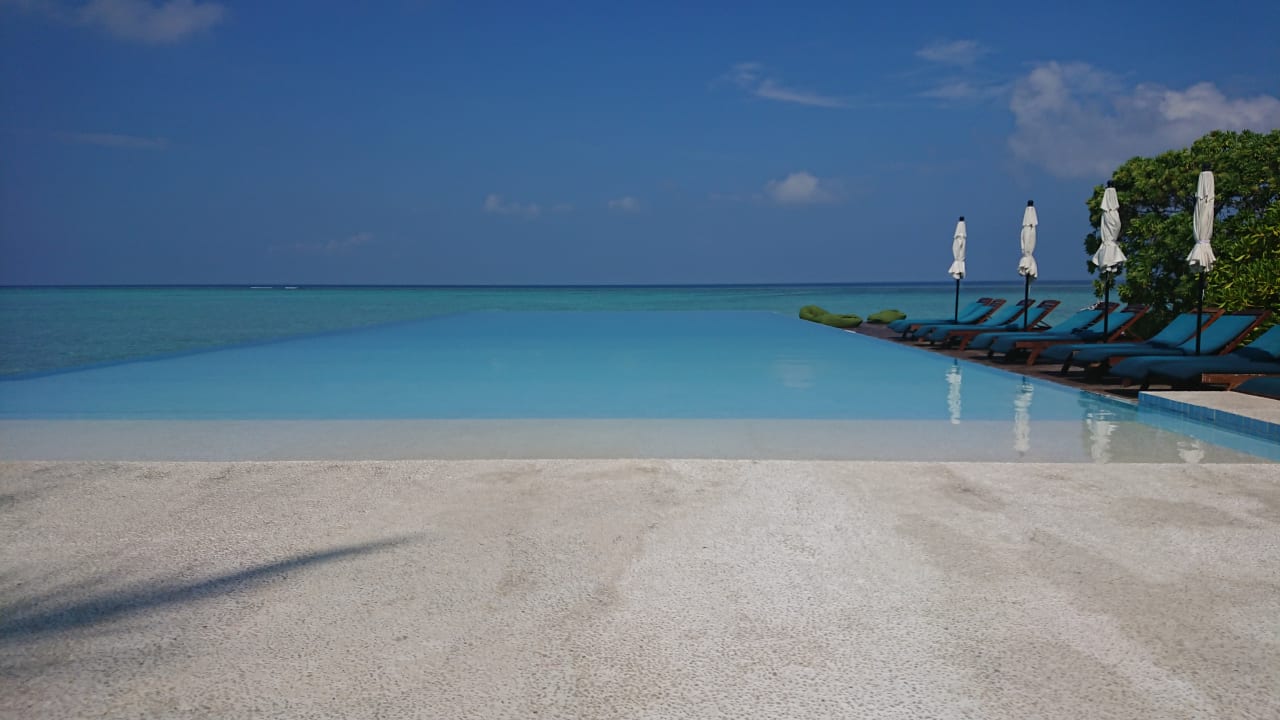 Pool Summer Island Maldives