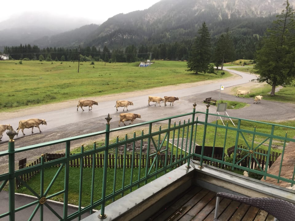 Ausblick Hotel Sonnenhof
