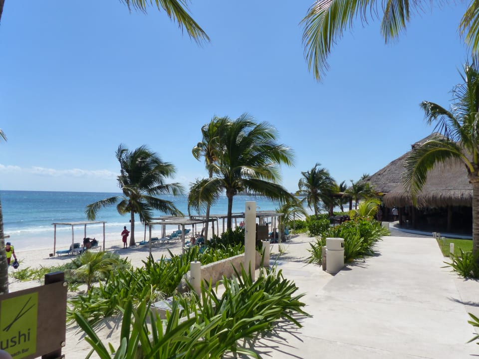 Strand Akumal Bay Beach & Wellness Resort