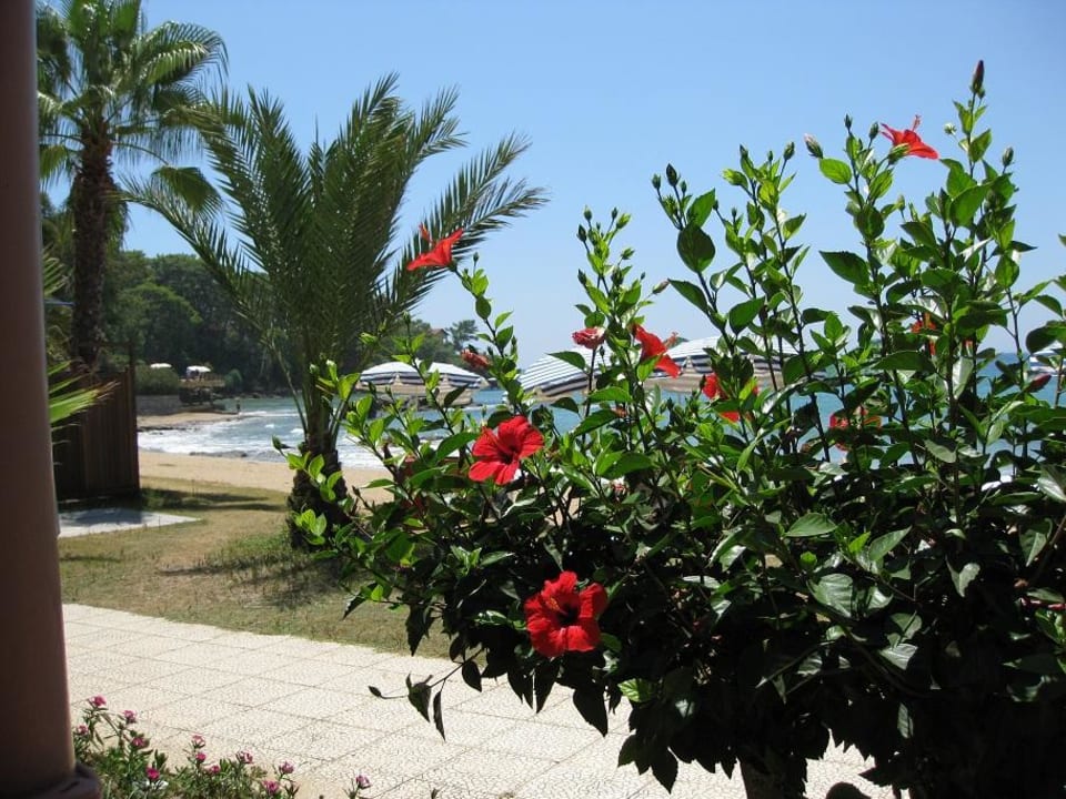 Ausblick beim Essen aufs Meer Top Hotel