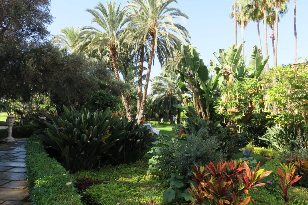 Botanico Hotel Botanico & The Oriental Spa Garden