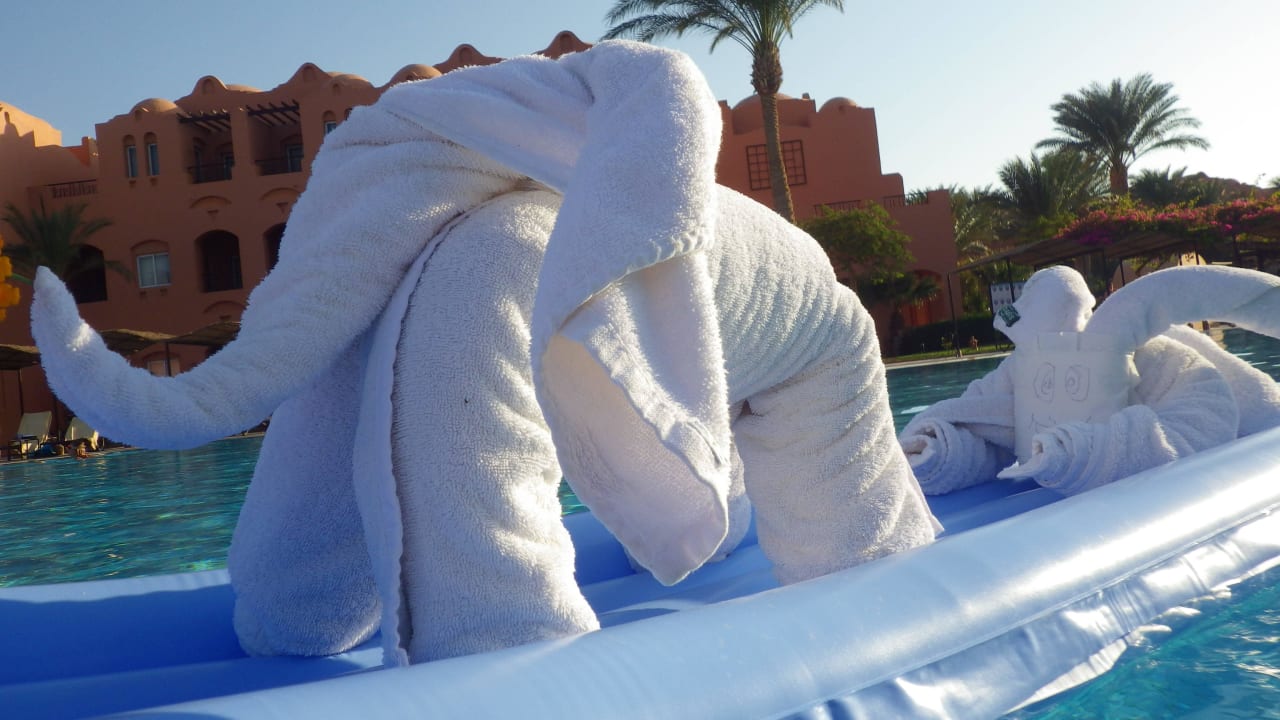 Dem Elefant war es zu warm  Jaz Makadi Oasis Resort