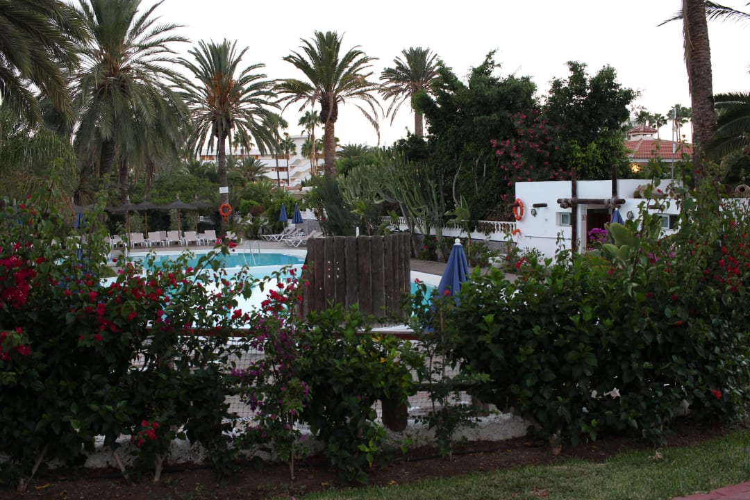 Die Poolanlage HL Miraflor Suites Hotel