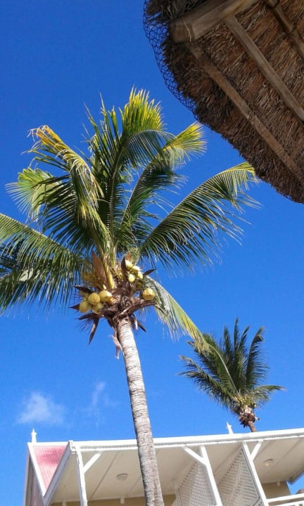 Einfach schön Hotel Villas Caroline