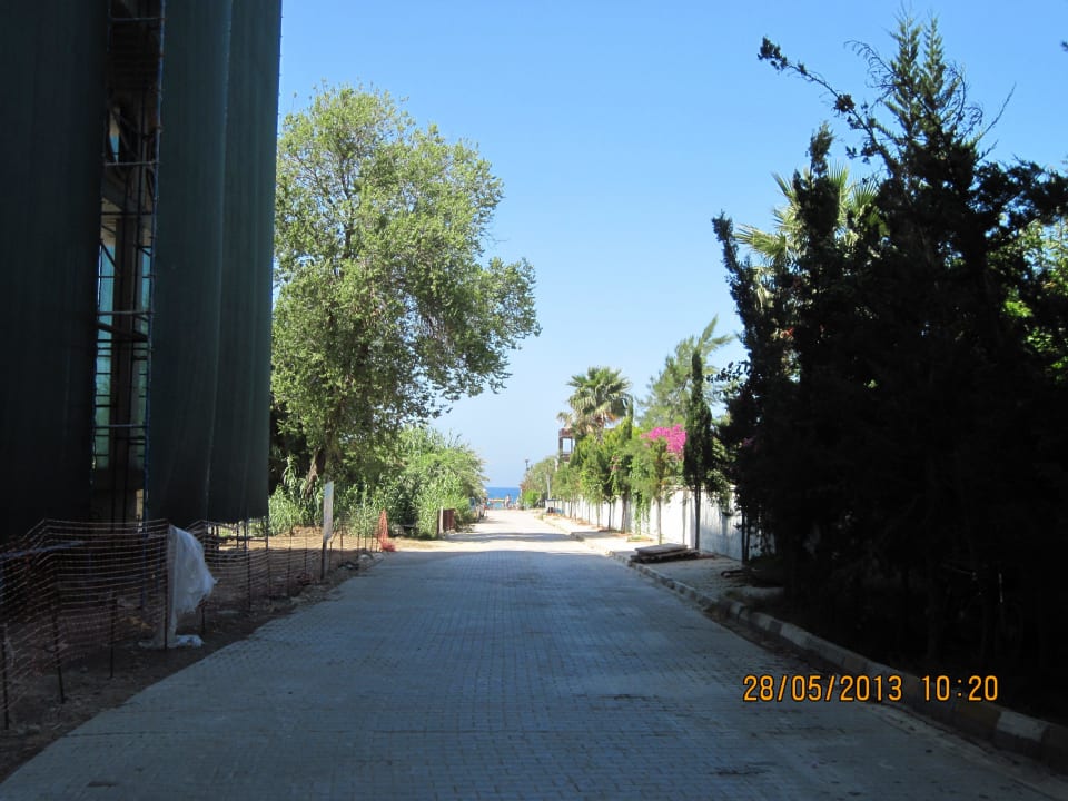 Weg zum Strand Dizalya Palm Garden