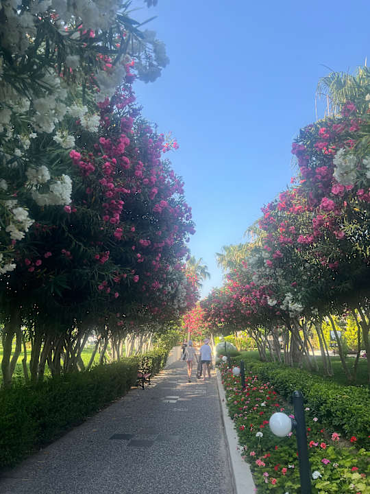 Gartenanlage VONRESORT Golden Beach