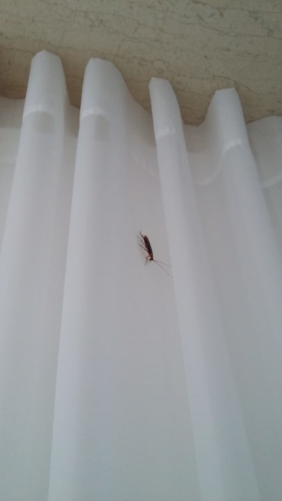 Zimmer Hotel Serita Beach