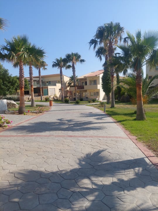 Gartenanlage Achilleas Beach Adults Only