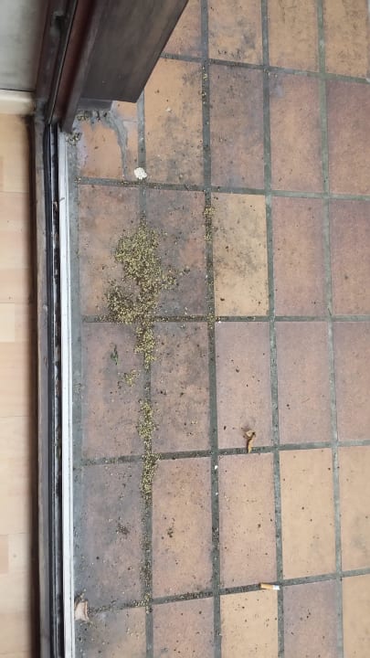 Balkon Hotel Exe Vienna