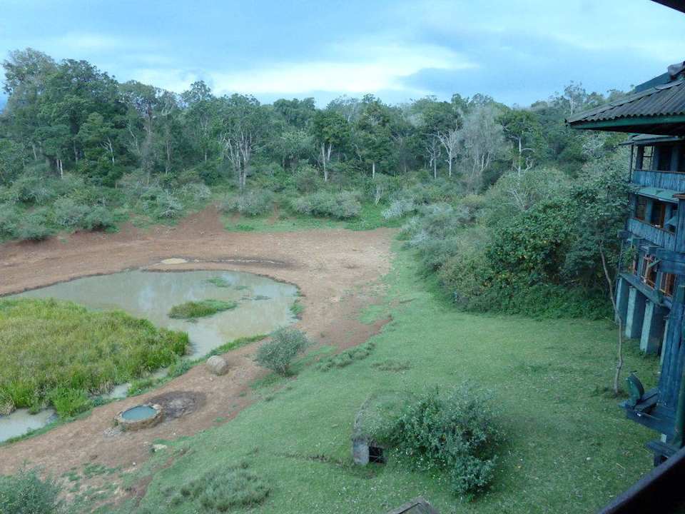 Blick zum Wasserloch Hotel Serena Mountain Lodge
