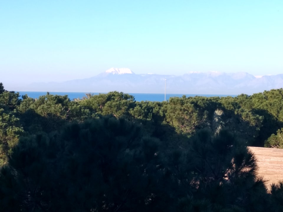 Ausblick IC Hotels Green Palace