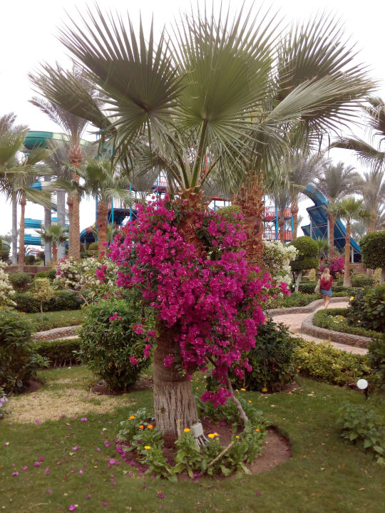 Gartenanlage Le Jardin Aqua Park Resort