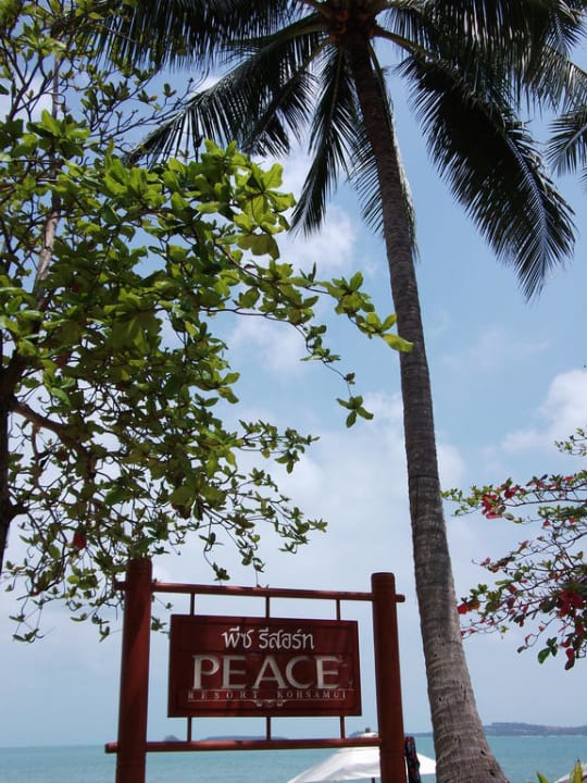 Gartenblick zum Strand NH Collection Samui Peace Resort