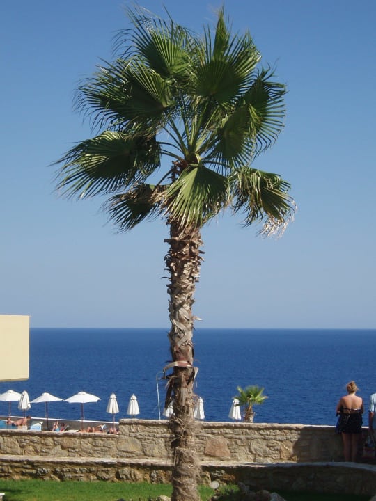 Blick über Hauptpool Hotel Kalithea Horizon Royal