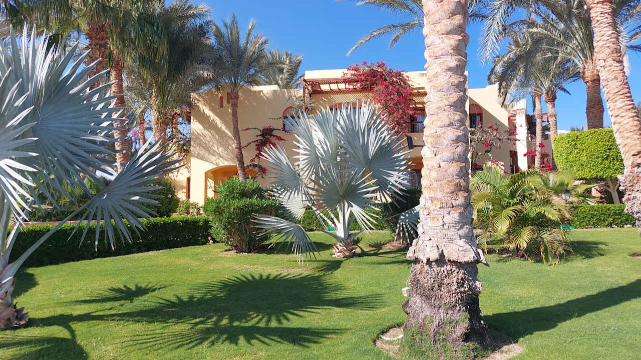 Gartenanlage Steigenberger Coraya Beach - Adults only