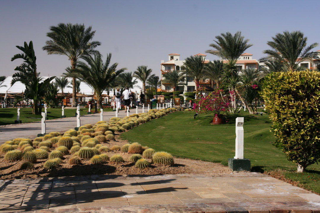 Kaktusstraße Pickalbatros Dana Beach Resort - Hurghada