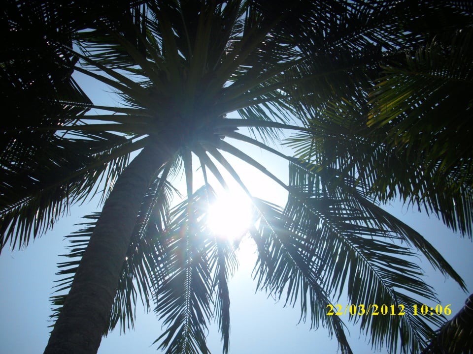 Nach oben Earl’s Reef Beruwala