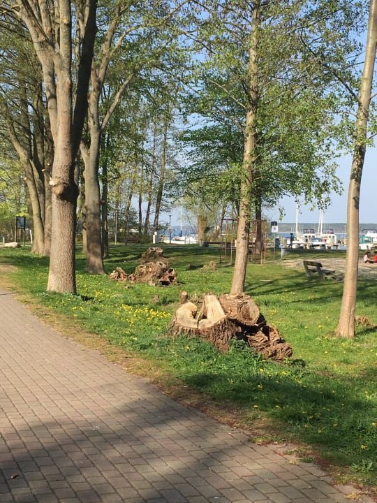 Gartenanlage Seehotel Schloss Klink