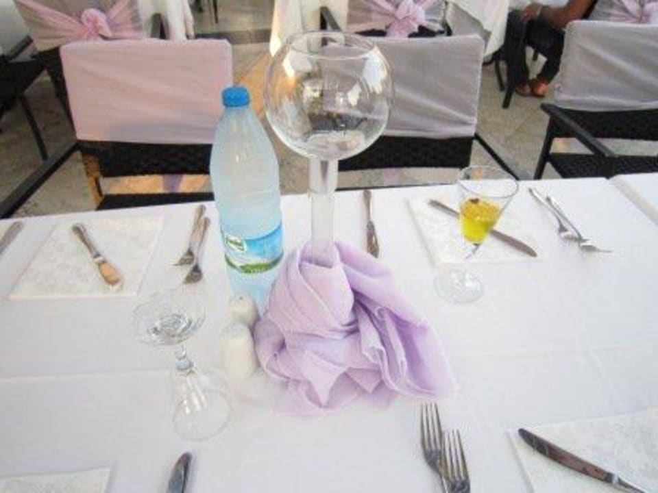 Hotel Iberotel Palm Garden TUI BLUE Palm Garden