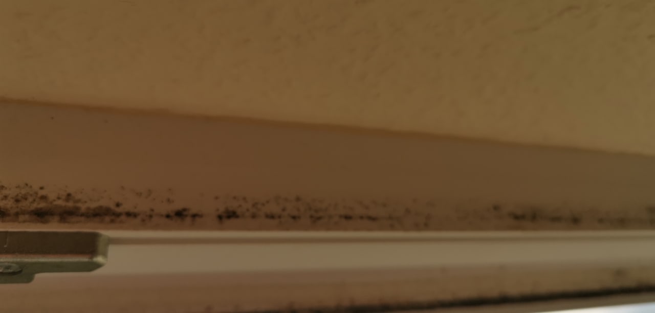 Zimmer Center Parcs Park Bostalsee