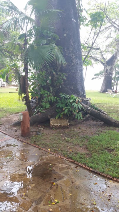 Hotel Baobab Beach Resort Baobab Beach Resort & Spa