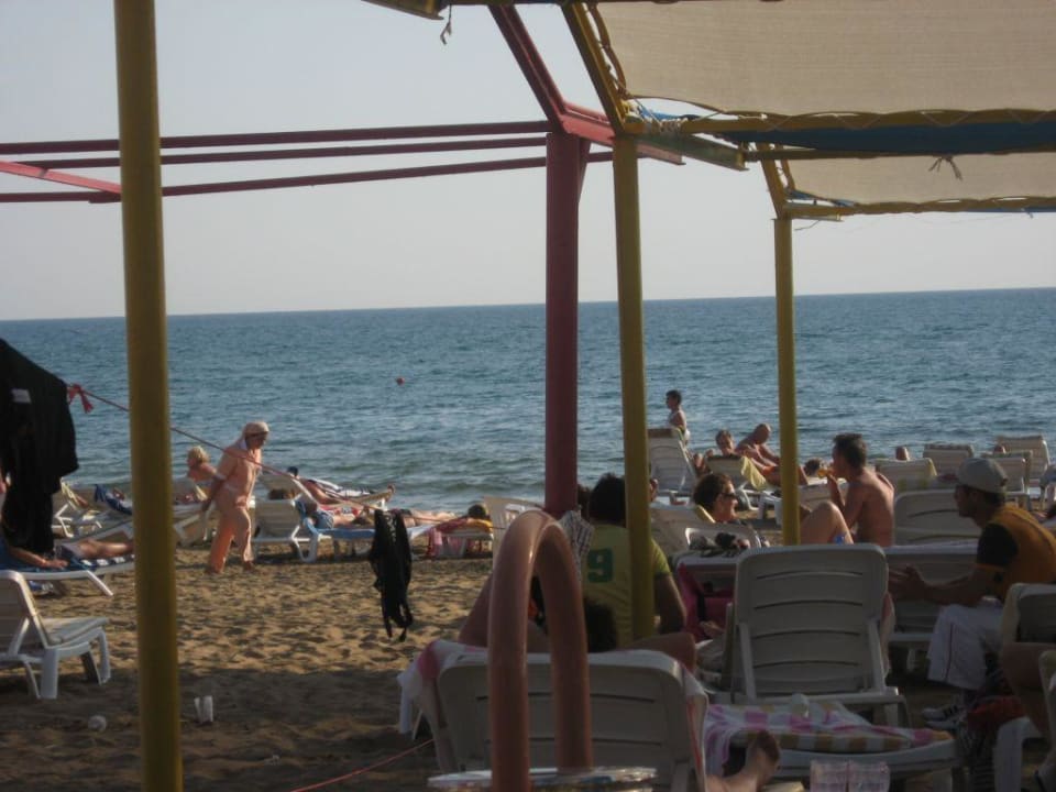 Hoteleigener Strand Hotel Orfeus Park