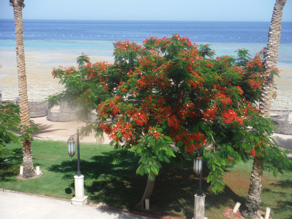 Sonstiges Makadi Spa - Adults only