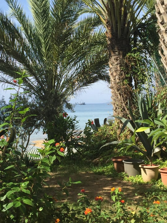 Ausblick von der Terrasse Aska Hotel Just in Beach