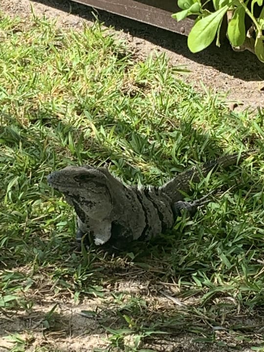 Sonstiges Akumal Bay Beach & Wellness Resort