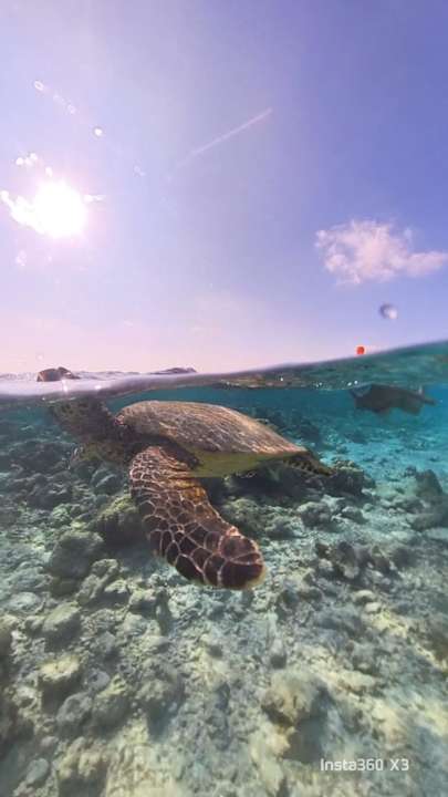 Sport & Freizeit Safari Island Maldives
