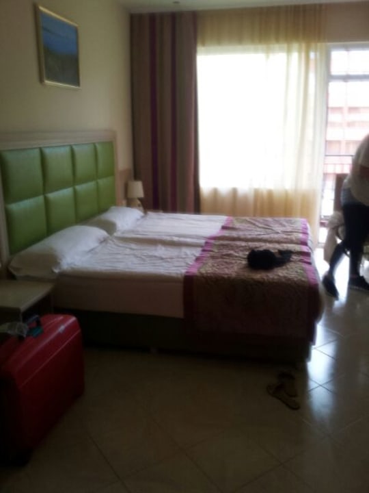 Zimmer GRIFID Vistamar