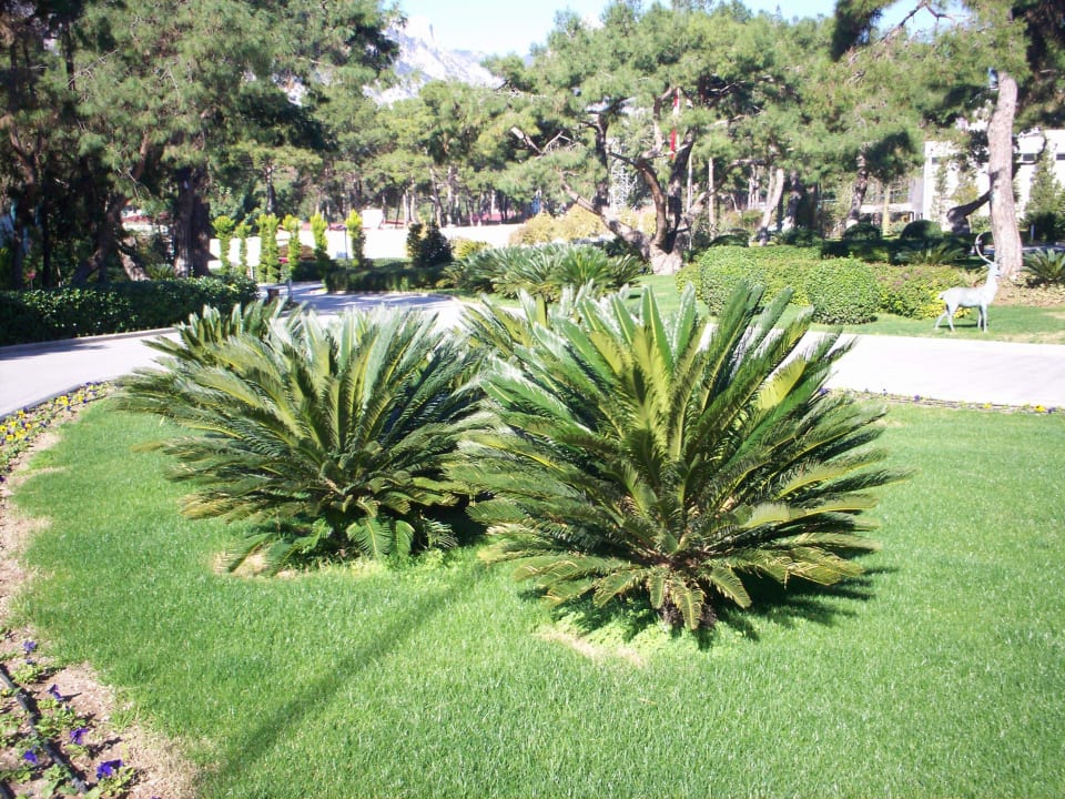 Vor dem Hotel Rixos Sungate