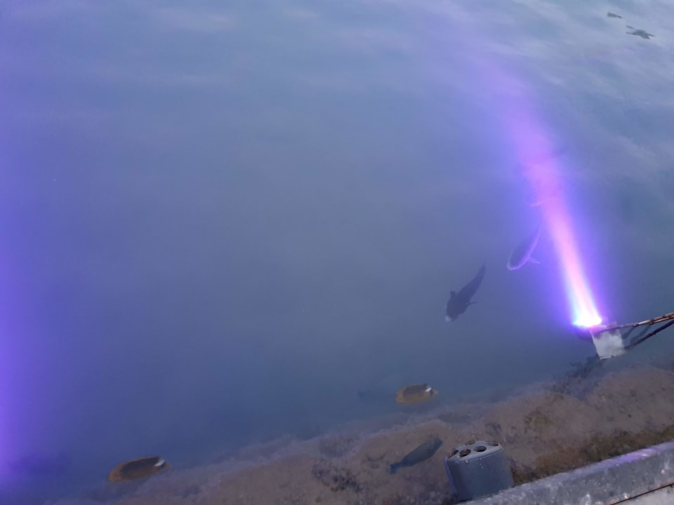 Sonstiges Pickalbatros Dana Beach Resort - Hurghada