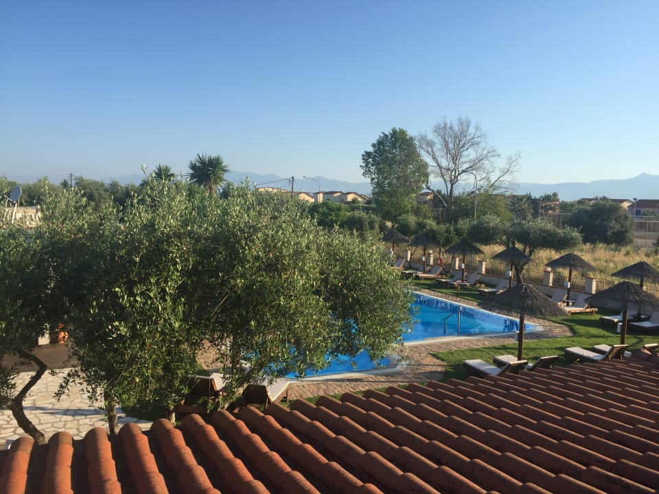 Pool Hotel Bostonia Village